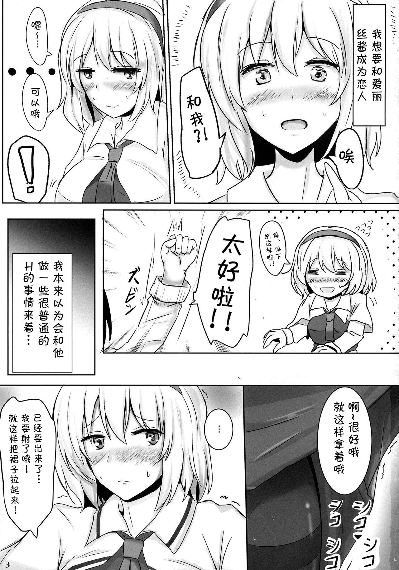 例大祭10 白银木犀 ぽし まるごとアリス 东方Project 中国翻訳